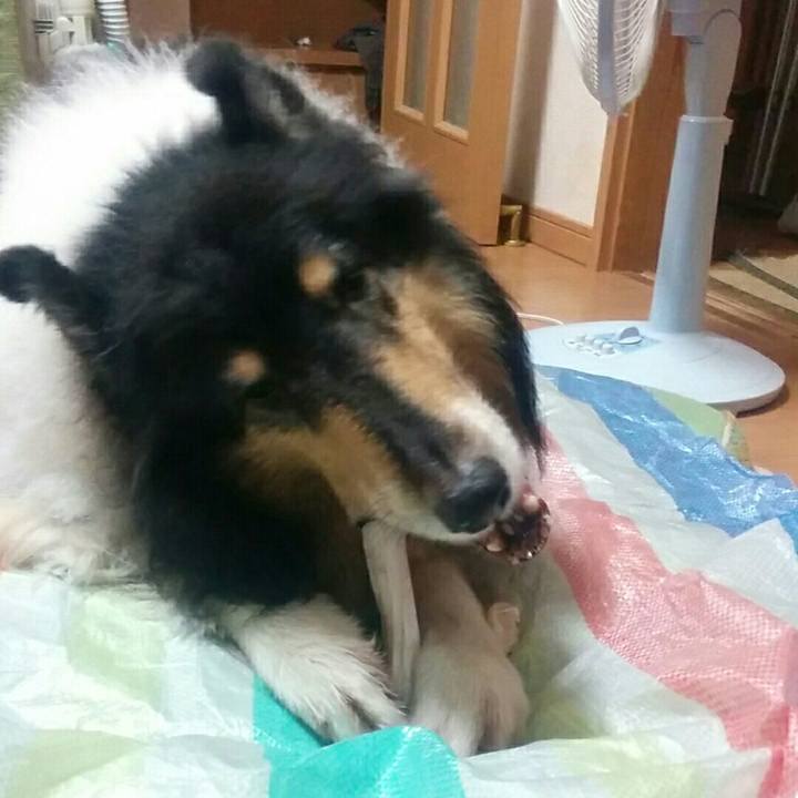 3264190a ba6c 4457 8aab 5d2f2231ea97