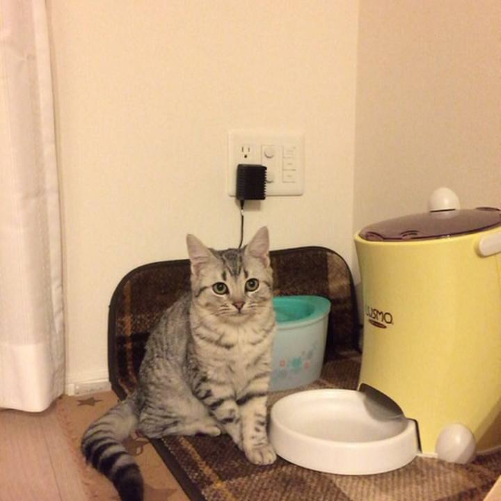 32650208 695c 4dda 9f00 2addea253125