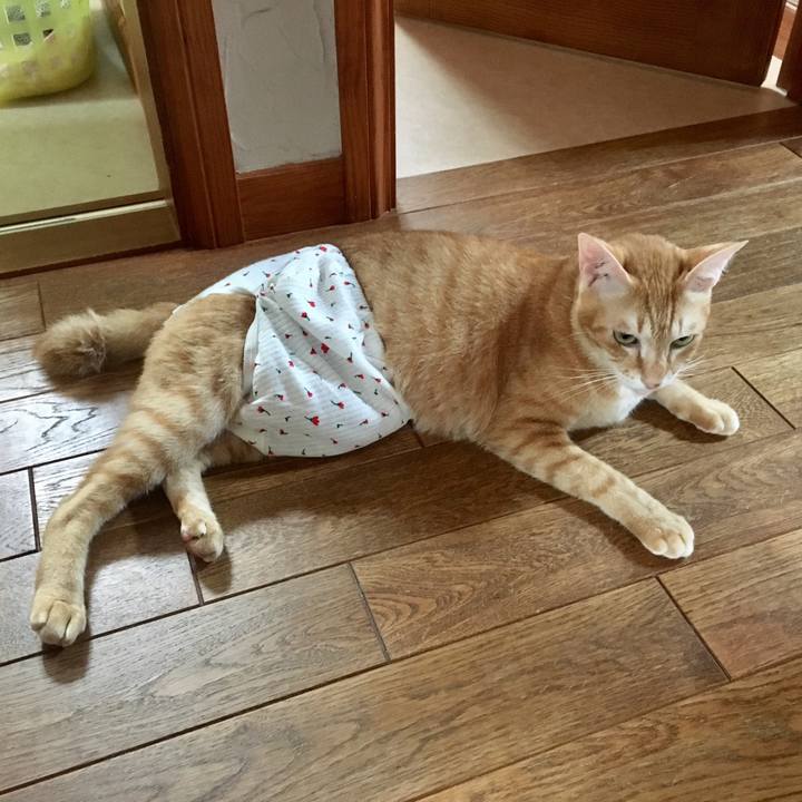 326590c9 1044 47c3 a355 9f49c3637727