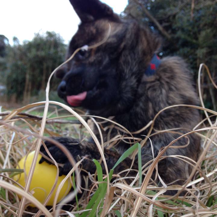 3265be15 4ddc 4a79 be1c 86e63191069b