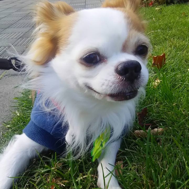 3265c437 9426 410a a839 208f5d06eedc