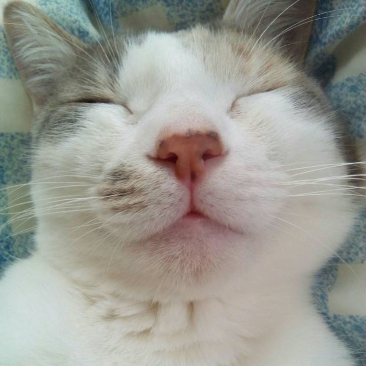 32665bac 1e9a 4833 a99f 8a541448048b