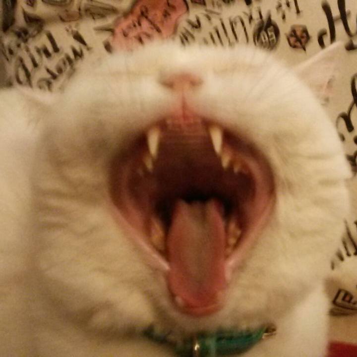 32677e14 b620 48bd b06e 9a3eea43a0d2