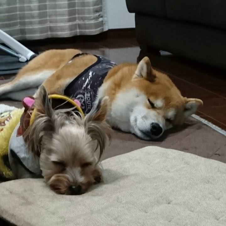 326796c7 29ec 4ca6 9209 ff70914c6d8b