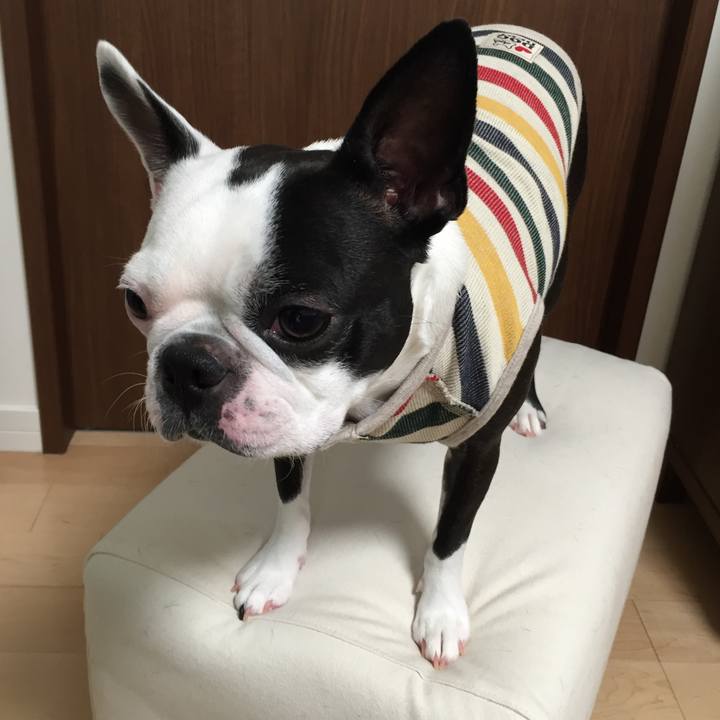 3267989d 4bad 4cb1 bb23 ad4b6fb47be8