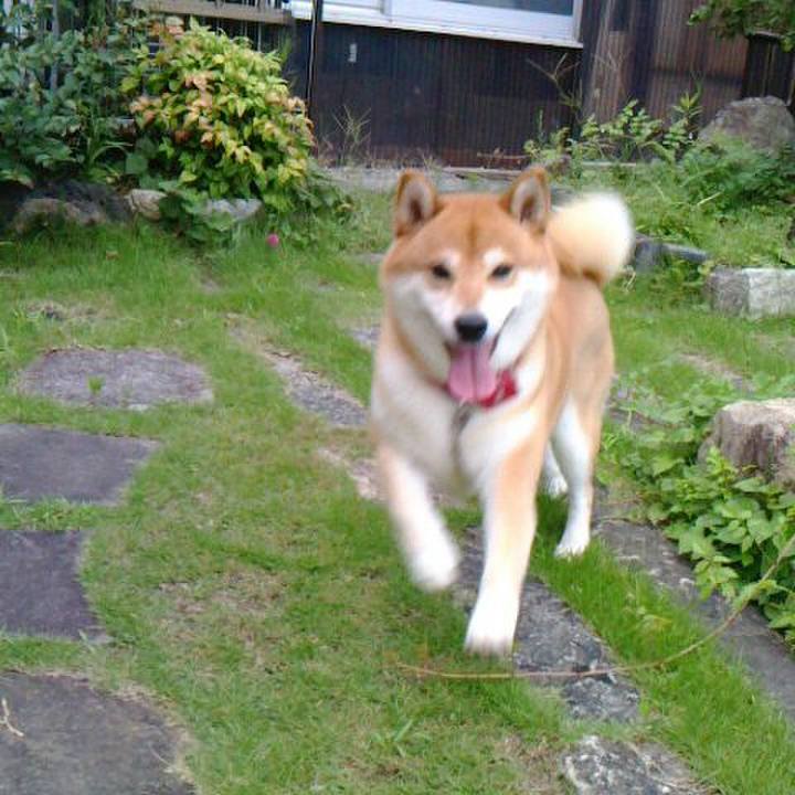 3267da1b 2dd9 4b40 b752 677d1e669b5f