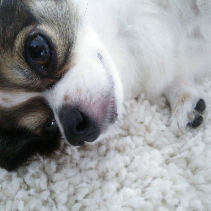 3267e5fb 9464 473b 9b3f e88fba41c158