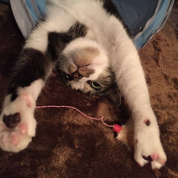 32681a7e 7c53 4086 86fe a72e90f9ceb3