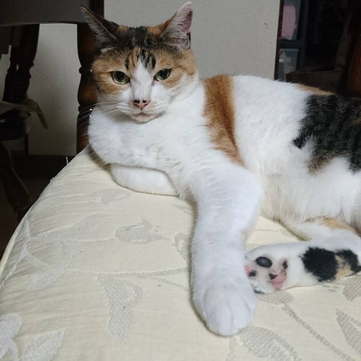 3268216f 4766 4cf8 a65c 308cd327dd35