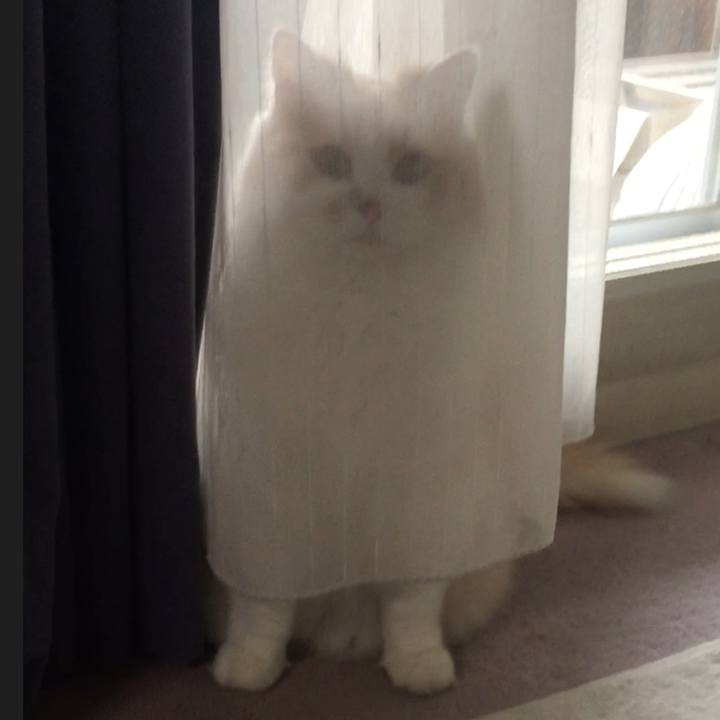 32688182 6d04 4573 9508 7461bf5b003e