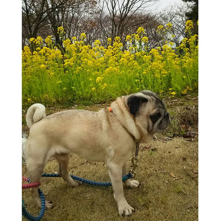 3269586a b4ec 4c8a af55 07f0395bdad5