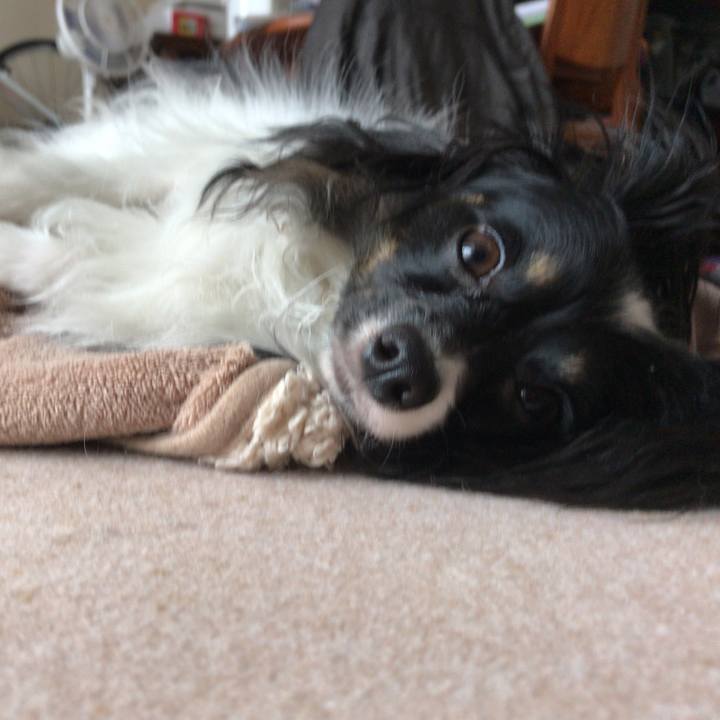 32695b5a 0187 4464 a3c9 68badfc73eda