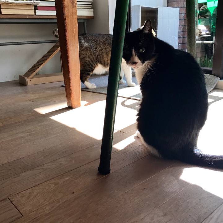 326a5ff1 0b86 4219 922b 3f7f6588b779