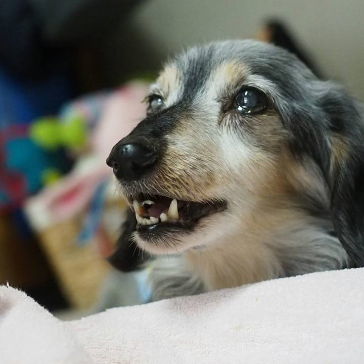 326a6367 114b 49ab 85f1 edeb37c5df63