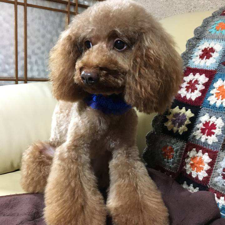 326a7a8b 6a19 4e4a ad92 100649468626