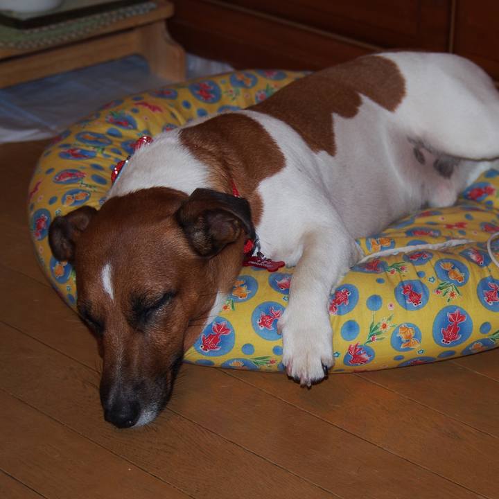 326b703c d5dd 4d3a a1fe 11d28bfa8555