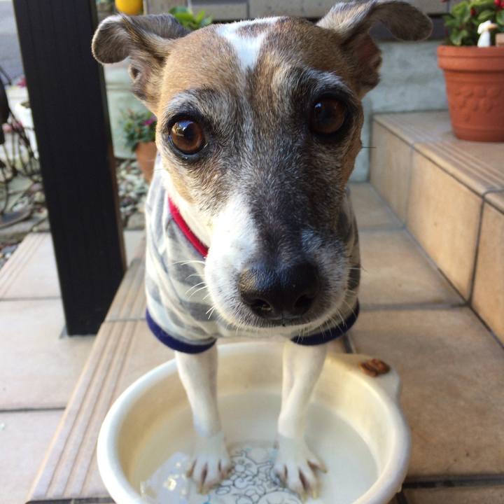 326c1b37 50f9 498e 805d 1bbc21e34937