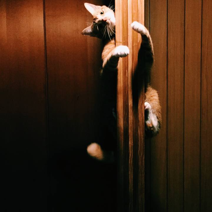 326c5807 4db8 4d70 9397 9a4c69fc86cd