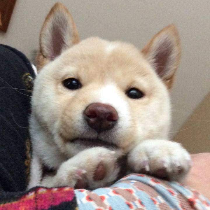 326d2e22 be36 4f75 b804 486dd4d97f6f