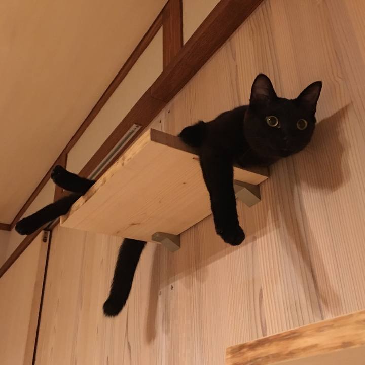 326de52d ef62 4609 85b2 850e4226d59d