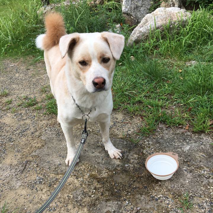 326eb037 e7b0 4e16 8c50 1b09d5ac2a36