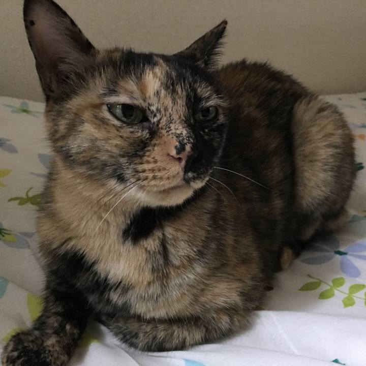 326fa7bd f386 4b0f 8a34 2ae28fcaffab