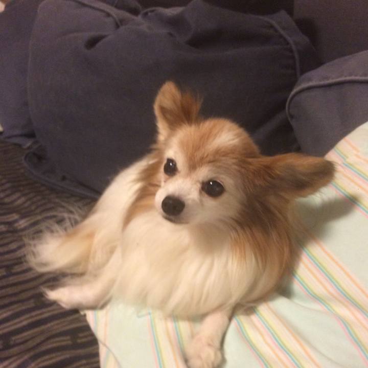 32710920 ca9d 41c4 9b09 bc7f4bdd547e