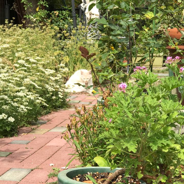 32715fb4 0c0b 44c4 bc22 44afe1eb6337