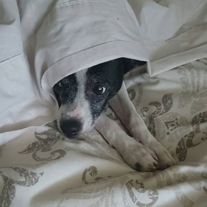 32723488 0b4c 4778 8974 828c37607a16