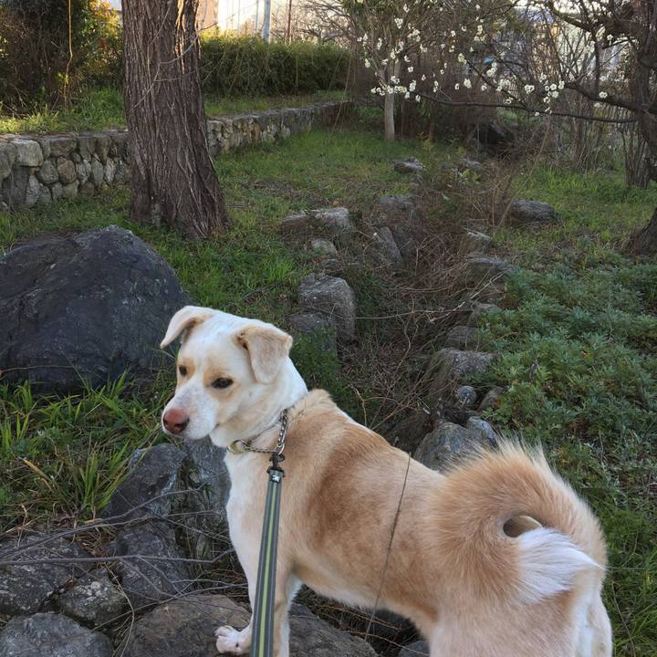 3272e989 cfdf 46bf a87f 3bb642064273