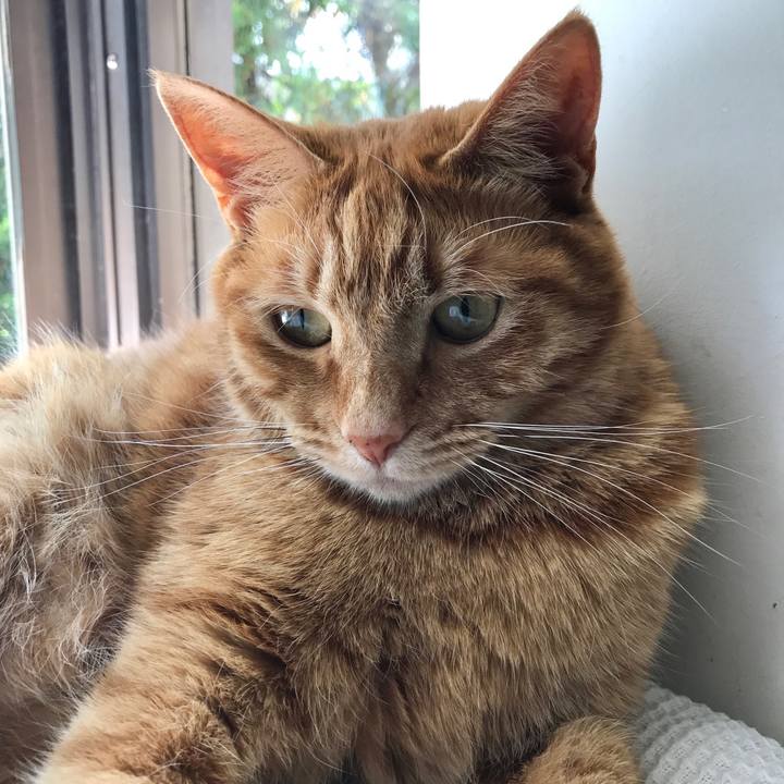 32749224 0194 43ea a8b8 49128bd4247a