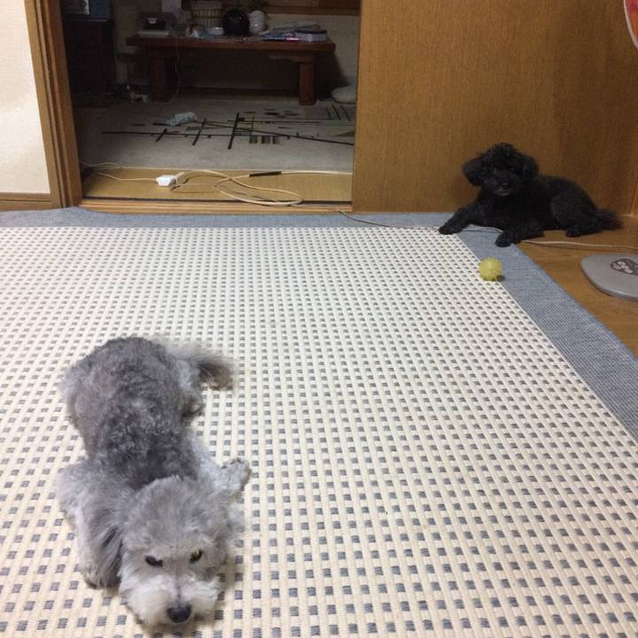 3275adaa 3cf1 45af afee 94ead53bac6d