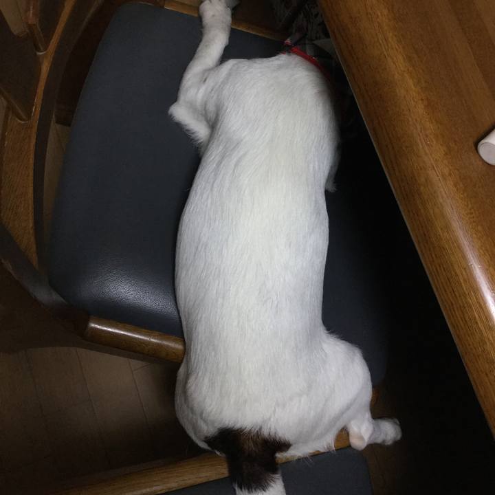 3275e2d8 0a85 486d 939f c3463ea921c2