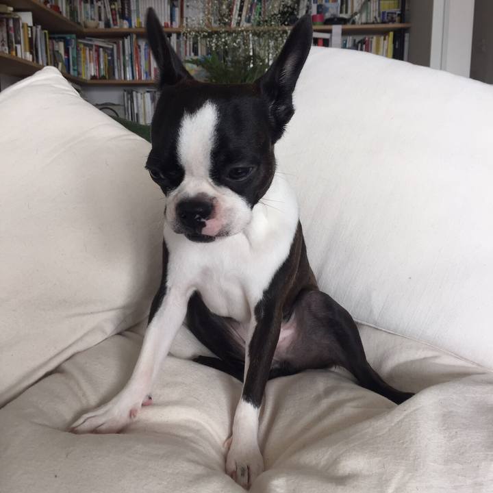 32766afd 9b72 4ff9 91f0 24883af9fd7e