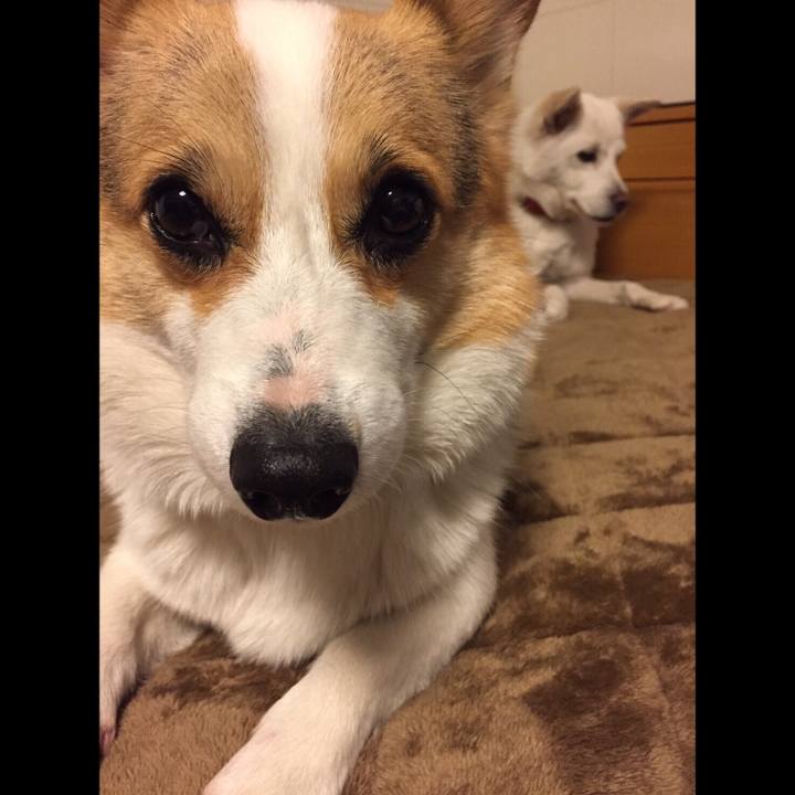 3276cdbe eed7 4f20 b88b 50fc373a16e1