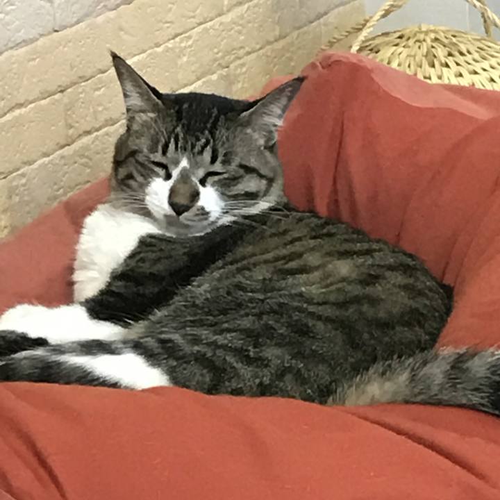 3277363a 0ded 40ab a032 8ca87c58f4ed