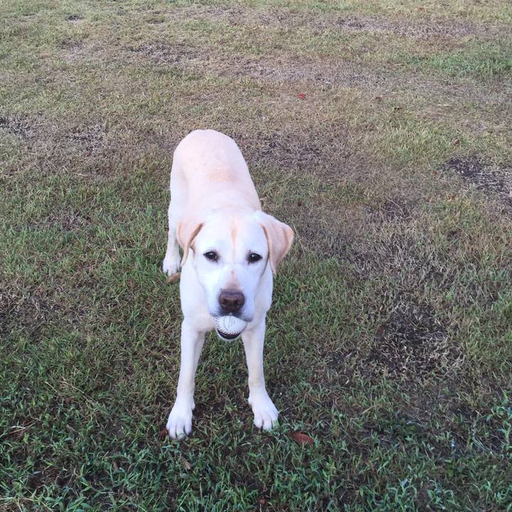 32787cd0 6641 4d69 8c7f 11f3f21596c5