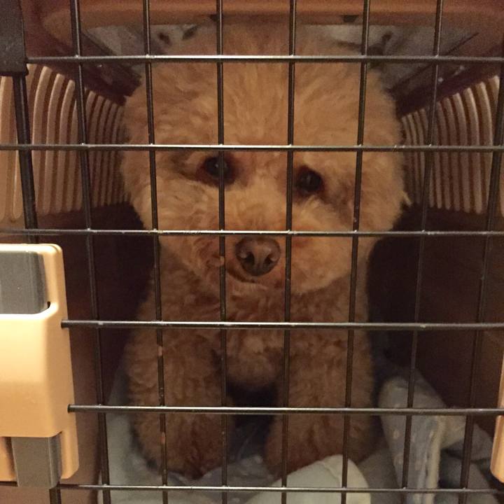 3278810e 5d27 47b1 8402 880ffc8bb8d5