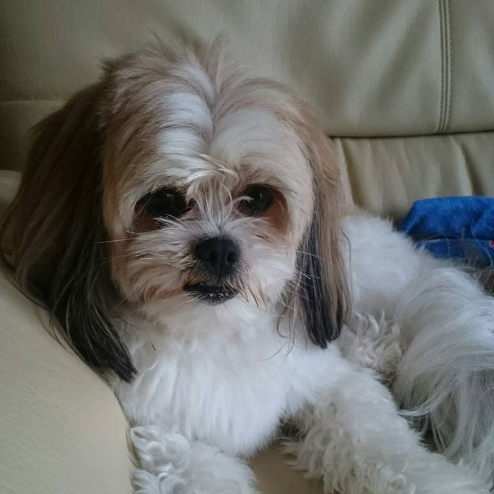 32788982 8a30 451f 9039 d50fc0175467