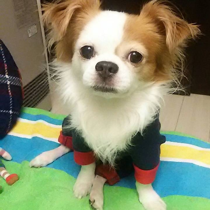 327950b3 b4d4 4a1b a784 d56e3aebd878