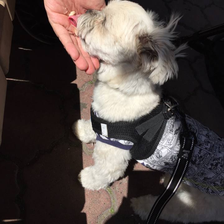 32795140 537a 4880 961e e4bcb5566236