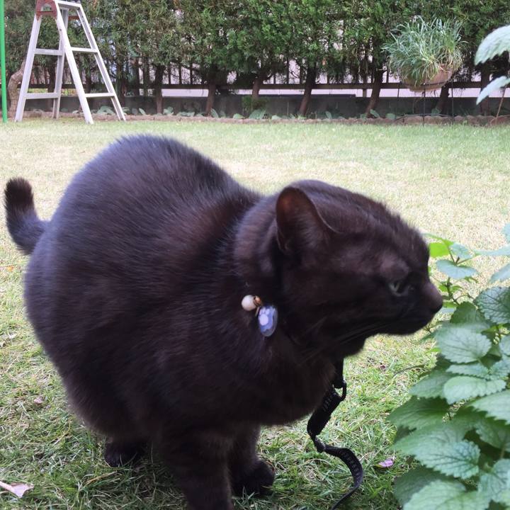 327a594b d35f 47ce 94fa b1146af02032