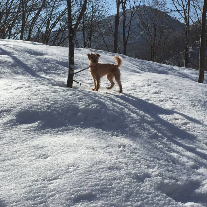 327a7913 cbfa 4773 a61b 492f39651a51