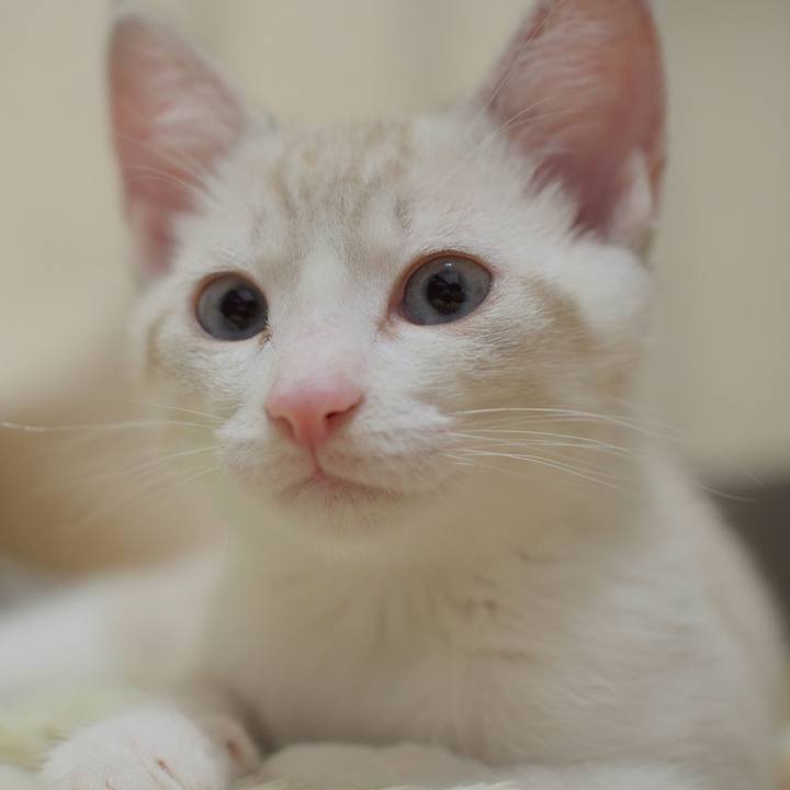 327a9d38 a673 47f6 97fa 9d203bf2d771