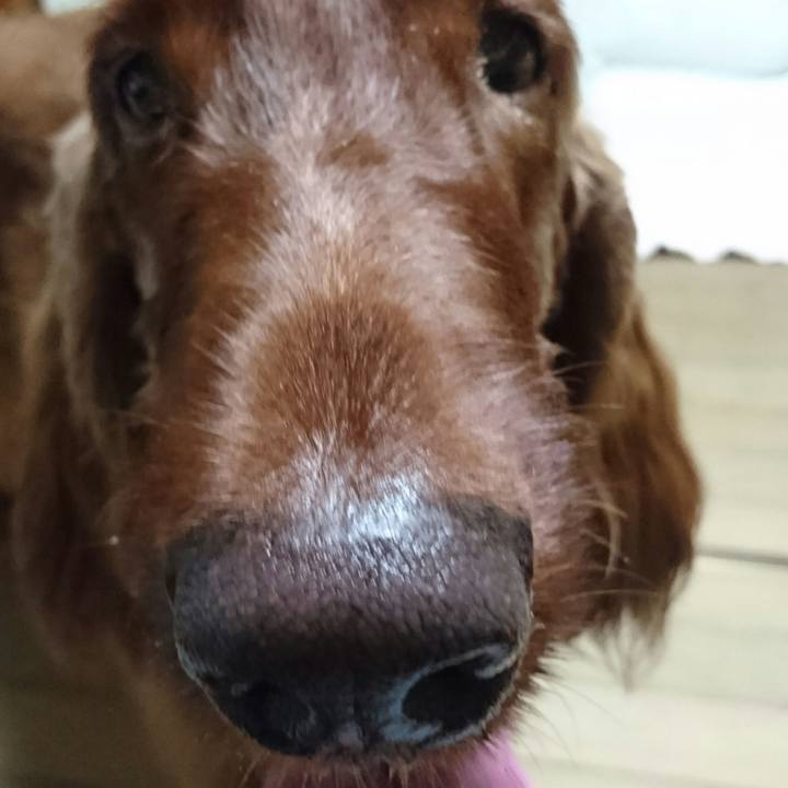 327acfeb f289 4bff aa7c 32f333bc04f1