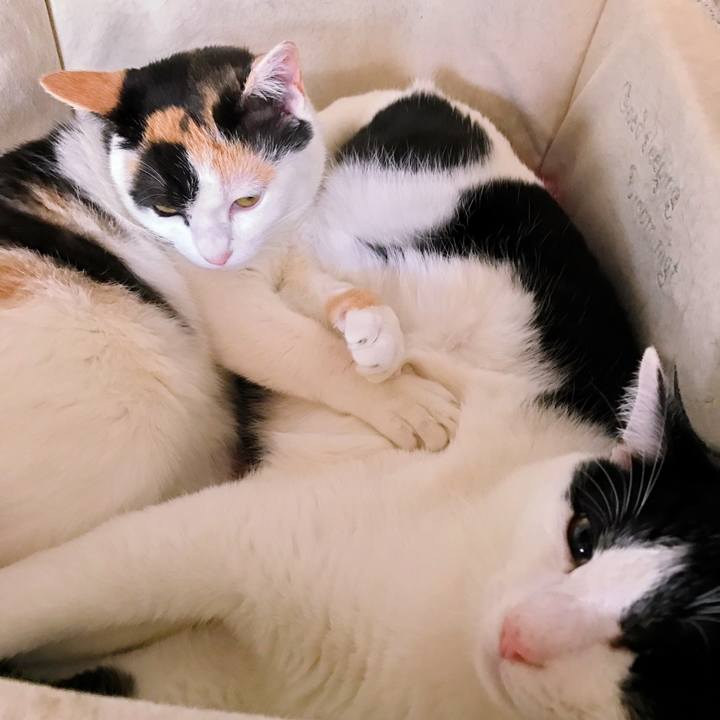 327af88e 7e69 4257 b639 fe6d2996dc5c