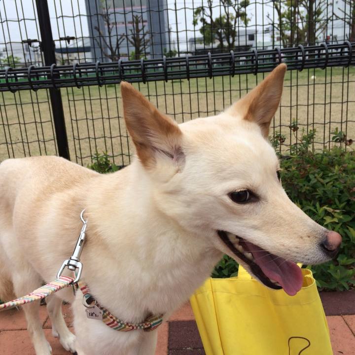 327b6ad4 d03b 4ce7 b2c2 b09ee225fdb0