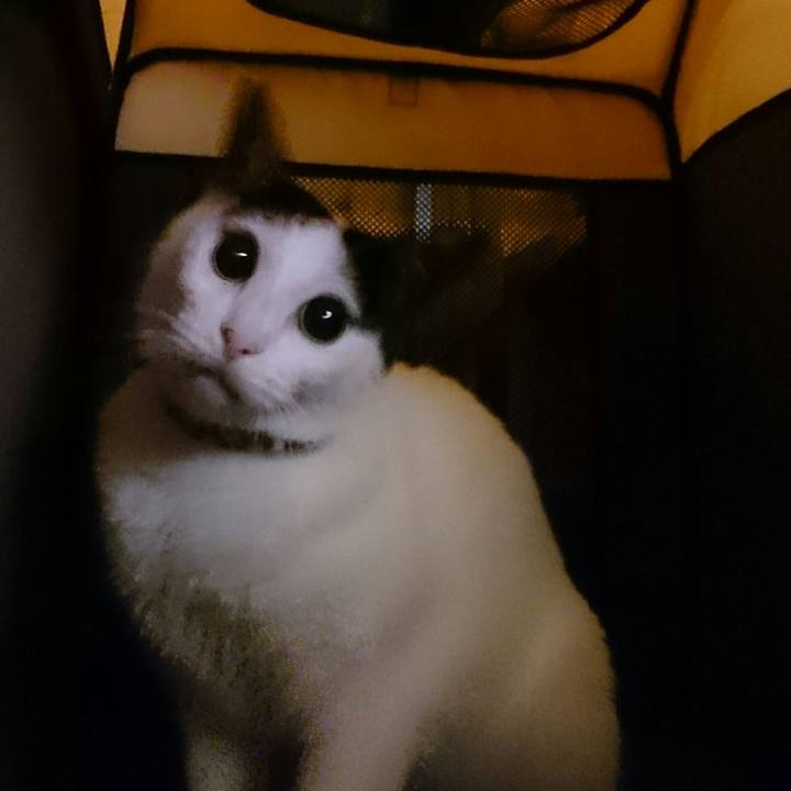 327ce3fe ef31 461e 8383 c69699c0c366