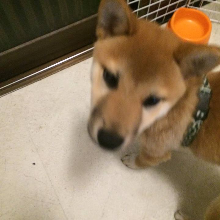 327cebea 4588 496f b0c0 9e9409bb48d1