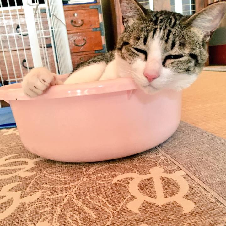 327d2fcb 0b0e 4694 8b44 53e5df25cf71